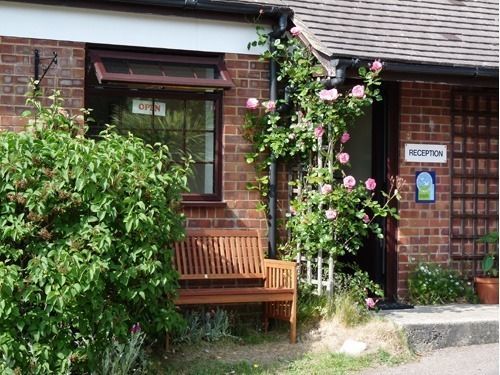 Spindlewood Country Holiday Park - Caravan Park เฮสติงส์ ภายนอก รูปภาพ