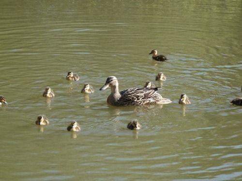 Spindlewood Country Holiday Park - Caravan Park เฮสติงส์ ภายนอก รูปภาพ